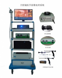 數碼電子宮腔鏡